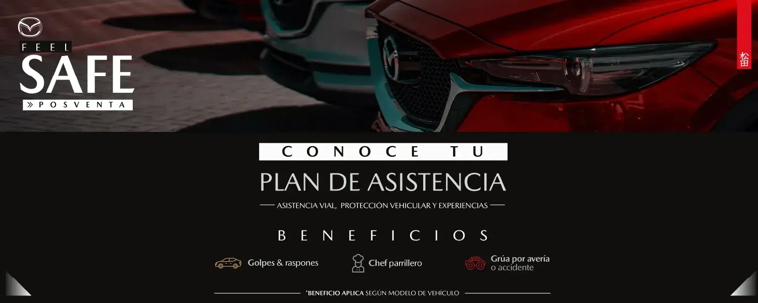 Plan-de-asistencia_1500x600